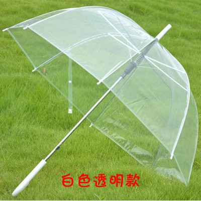 Metallrippen Transparenter Regenschirm mit Apollo-Design und individuellem Logo-Druck