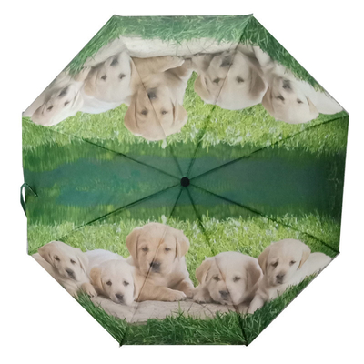 DIY Custom Design Libelle Tiermuster Dreifachschirm mit schwarzer Beschichtung