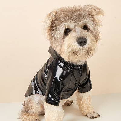 Schützen Sie Ihr Haustier vor dem Regen und bleiben Sie sicher PVC Custom Reflective Dog Regenmantel für Reisen