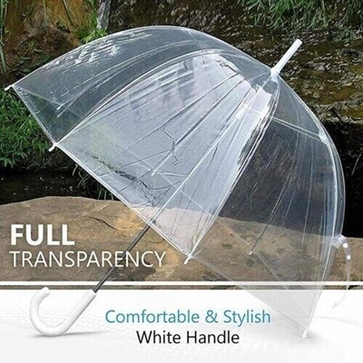 Metallrippen Transparenter Regenschirm mit Apollo-Design und individuellem Logo-Druck