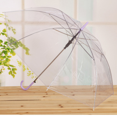 Promotion Werbung PVC Schirm mit individuellem Logo und schwarzem Metallrahmen