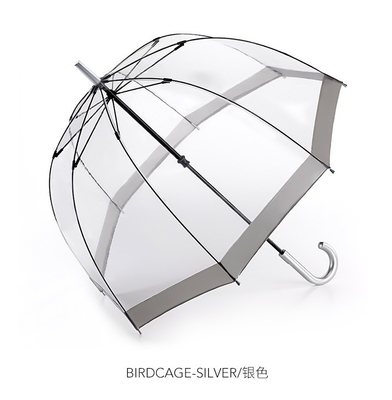 Stilvolle Kuppelform Klarer PVC-Plastik Regenschirm für Erwachsene Apollo Minimalist Design