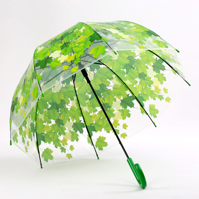 Langgriffiger Gerader Regenschirm mit Ahornblatt Apollo Transparent Material Design
