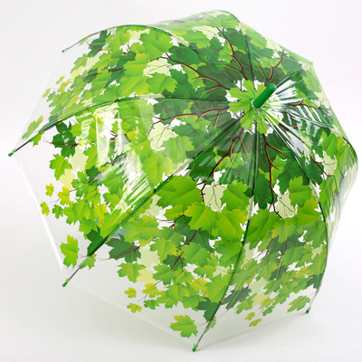 Langgriffiger Gerader Regenschirm mit Ahornblatt Apollo Transparent Material Design