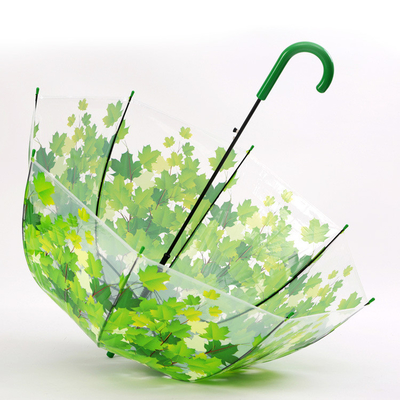 Langgriffiger Gerader Regenschirm mit Ahornblatt Apollo Transparent Material Design