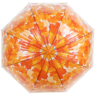 Langgriffiger Gerader Regenschirm mit Ahornblatt Apollo Transparent Material Design
